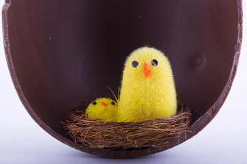 Pulcini nell'uovo di Pasqua