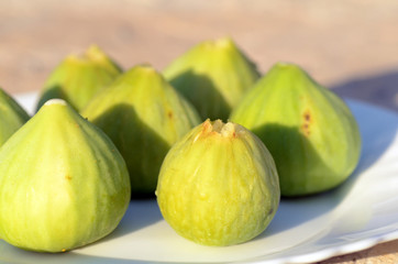 Frische Feigen vom Baum