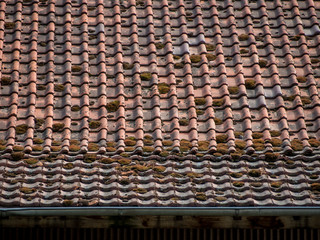 Moss auf altem Dach
