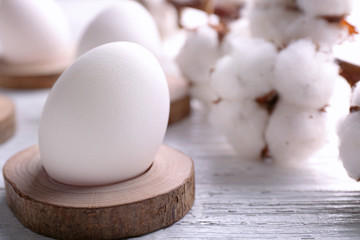 Easter eggs and branch of cotton on white background