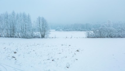 Winter landscape with trees and field