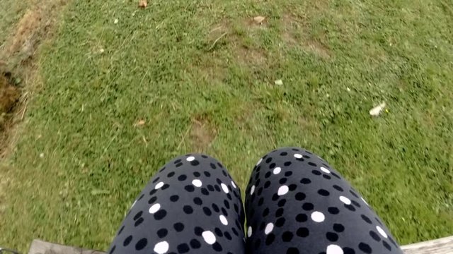 POV shot of little girl having fun on a swing with her doggie.
