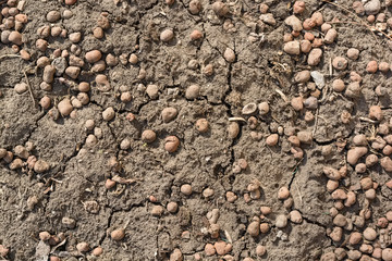 Close up rown soil texture with small stones