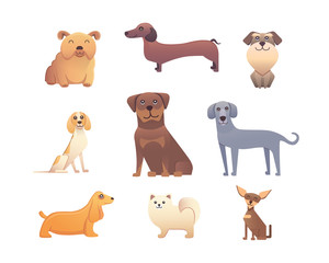 Different type of cartoon dogs. happy dog set vector illustration.
