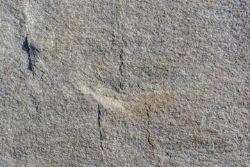 Close up stone texture background