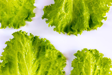 Lettuce leaves on white backgrounds