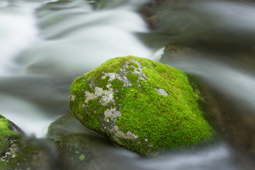Great Smoky Mountains Roaring Fork 