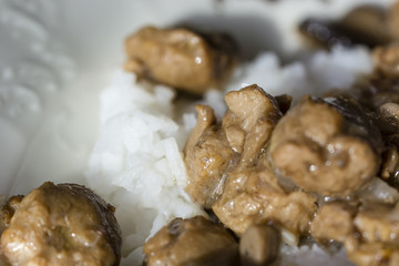 Soya-bean stew with rice in detail.