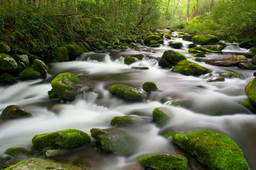 Great Smoky Mountains Roaring Fork 