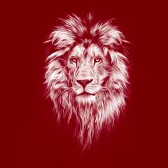 Portrait of a Beautiful lion, lion in the dark, oil paints, soft lines