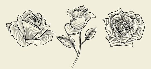 Hand drawn flowers