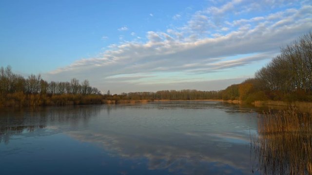 Lake Natuurpark Lelystad Timelapse
