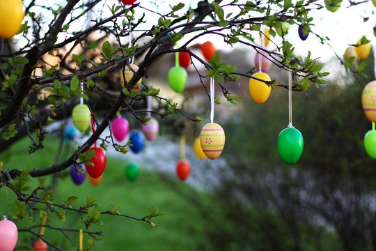 farbige ostereier an einem baum I