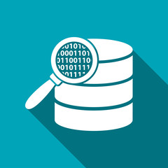 Search database flat icon. magnifier and data vector illustration