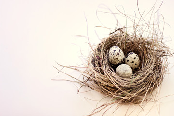 Birds nest with three eggs with spots on white background. - obrazy, fototapety, plakaty