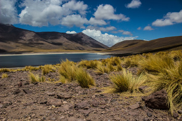Laguna Miscanti and Laguna Miñique, is an altiplanic lagoon of Chile of 4500 msnm where they...