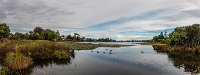 Hamilton Lake Domain, New Zealand
