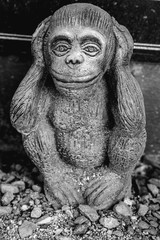 hear no evil monkey - Samui Temple