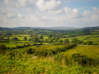 Fototapeta na wymiar Green fields in Ireland