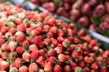 thailand fruit of berry