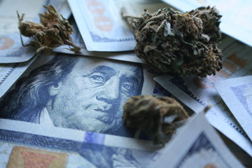 Marijuana With Money High Quality 