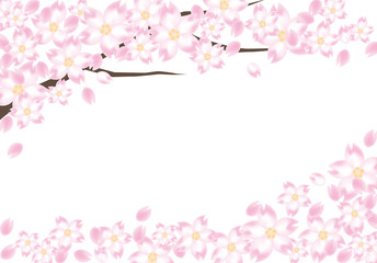 Fototapeta na wymiar 桜の木のフレーム