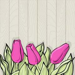 Romantic vector tulip composition