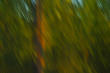 indistinct tree with leaves