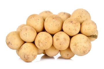 Wollongong isolated on the white background