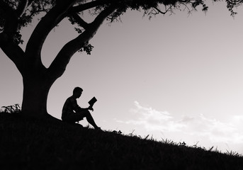 Young man reading a book in the park. 