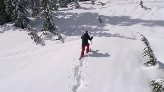 4K 60P Nature Drone Shot of Man on Sunny Day Snowshoe Adventure in Deep Powder Snow Forest