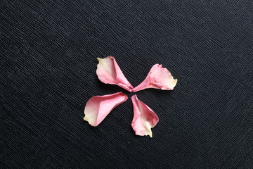 Pink rose petal leaf put on the black color leather surface as a background represent the abstract meaning about love.