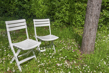 empty chairs in backyard garden