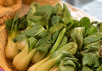 Bok Choy at the Market