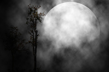 Fototapeta na wymiar The moon in the night scary background.