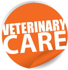 Veterinary care orange Label, Sign, stickers and symbol.