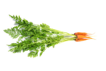 Carrots on a white background with green tops