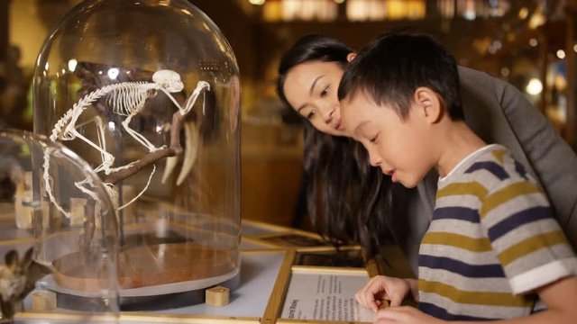  Mother & son in natural history museum looking at a skeleton inside glass jar