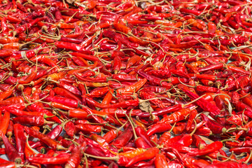 Fototapeta premium Dried red chili pepper