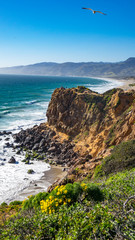 Point Dume in Full Bloom