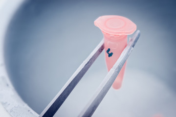 Test tube in liquid nitrogen, cryopreservation process