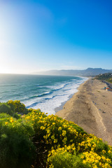 Point Dume in Full Bloom