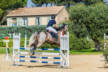 Equitation, saut d'obstacles, compétition.