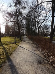 Ścieżka w parku © michalsen