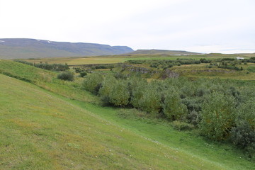 Obraz premium アイスランドの風景