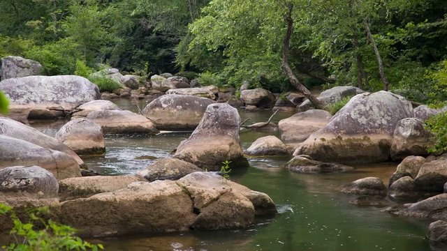 Peaceful Stream on a summer day in the Blue Ridge Mountains
