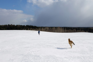 Naklejka na ściany i meble прогулка с собакой по зимнему полю