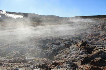 ミーヴァトン湖・ネイチャーバス付近の風景