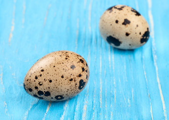 Obraz premium Two fresh quail eggs on a blue wooden background