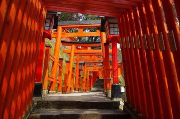 Obraz premium 太皷谷稲成神社の参道